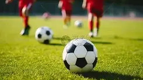 张之臻荣登亚洲网球男单榜首